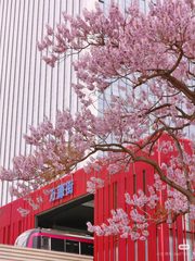 亦庄地铁口360米 160㎡ 层高2.8米 西南向 - 缩略图 3