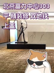 北京富力中心303平 精装修 双地铁上盖 - 缩略图 1