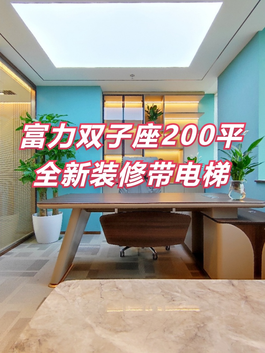 富力双子座200平全新装修带电梯