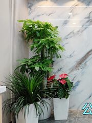 CBD核心200平米整层 3.9米层高 稀缺资源 - 缩略图 8