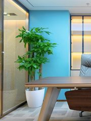 CBD核心200平米整层 3.9米层高 稀缺资源 - 缩略图 18