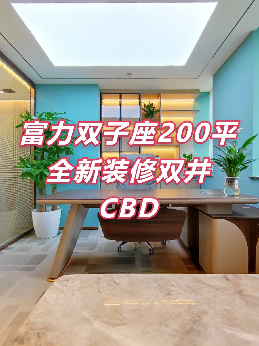 富力双子座200平全新装修双井CBD