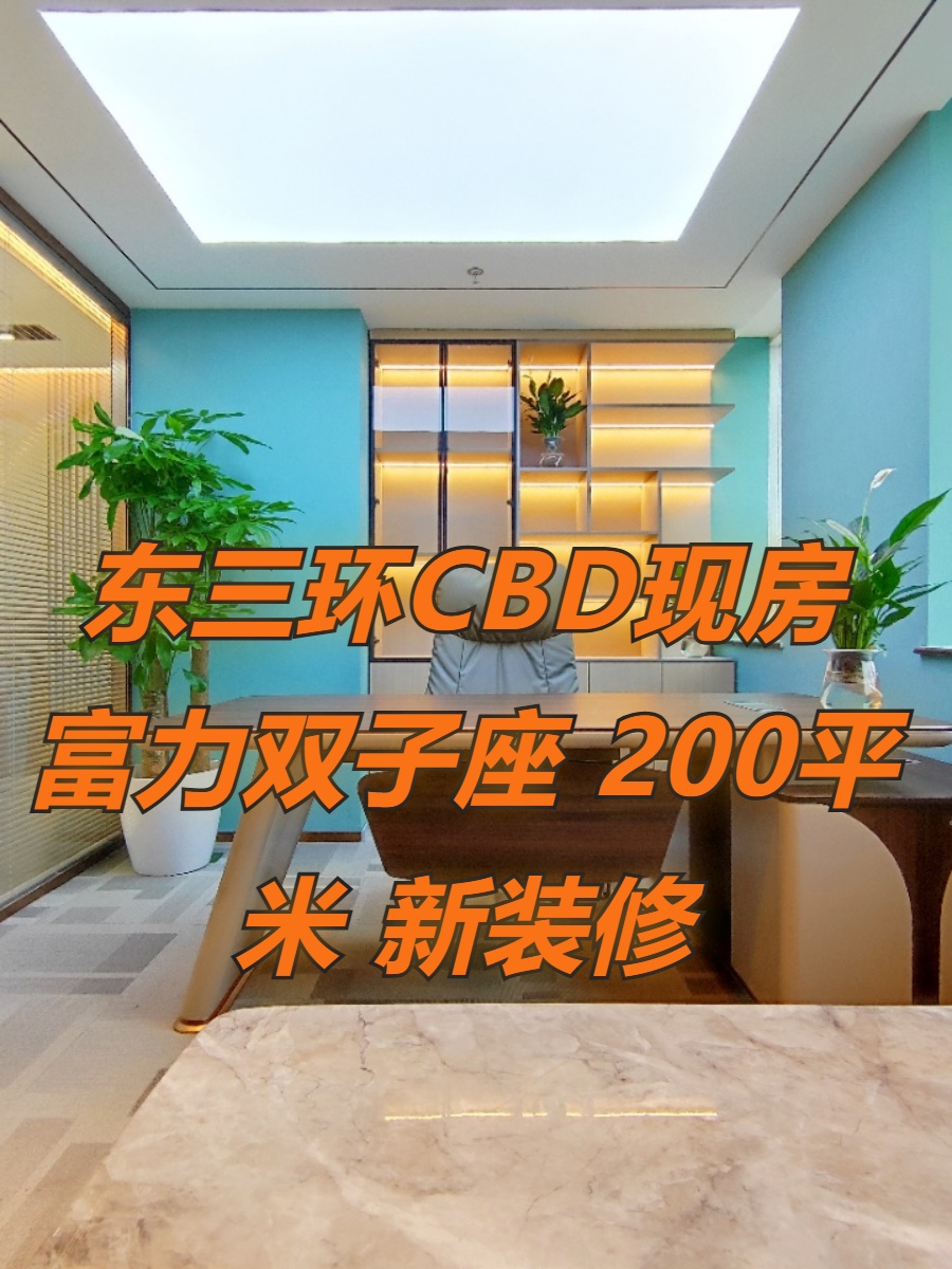 东三环CBD现房 富力双子座 200平米 新装修
