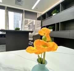 富尔大厦379平现房地铁口4隔断 - 缩略图 9