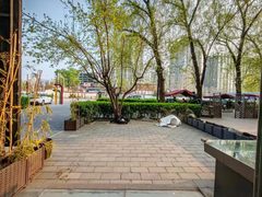 大望路60平独栋小院南向落地窗 - 缩略图 2