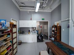 大望路119平独栋带院 南向落地窗 - 缩略图 7