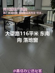 大望路116平米 东南向 落地窗 - 缩略图 1