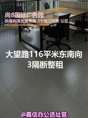 大望路116平米东南向 3隔断整租 - 缩略图 1