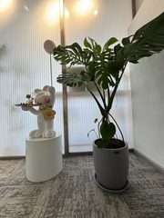 四惠地铁站 132㎡ 挑高4.8米 文化补贴 - 缩略图 10