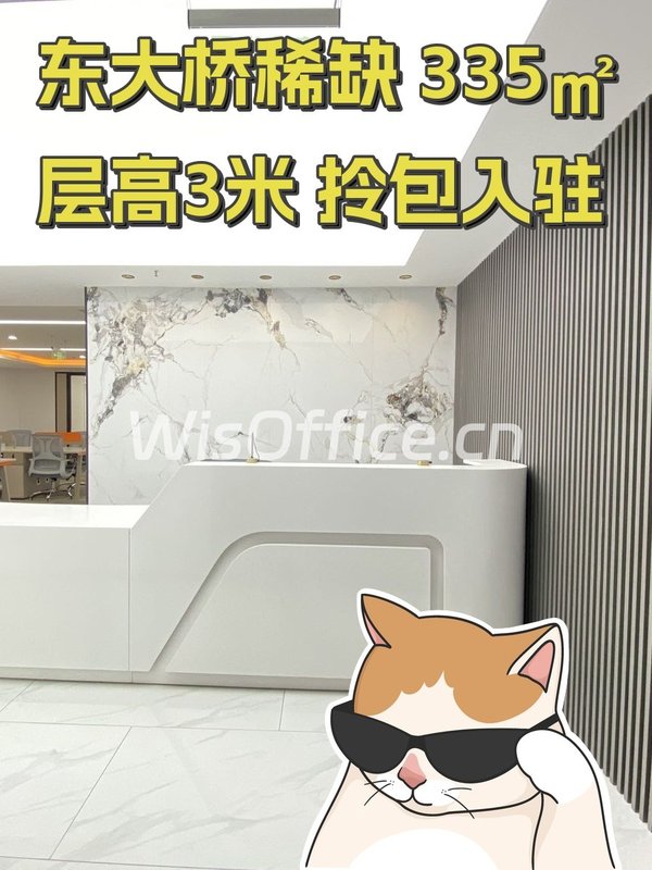 东大桥稀缺 335㎡ 层高3米 拎包入驻 - 首图