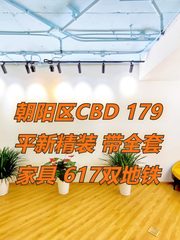 朝阳区CBD 179平新精装 带全套家具 617双地铁 - 缩略图 1