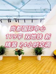 尚都国际中心 179平米 双地铁 新精装 - 缩略图 1