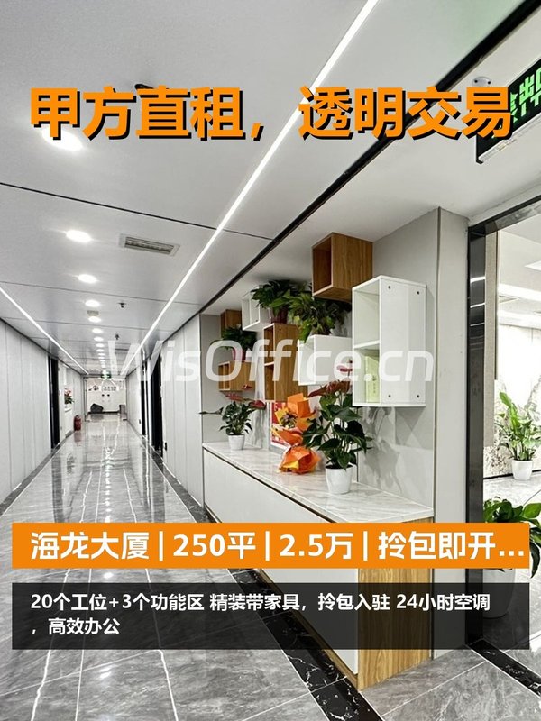 真房｜海龙大厦 | 250平 | 2.5万 | 拎包即开工？ - 首图