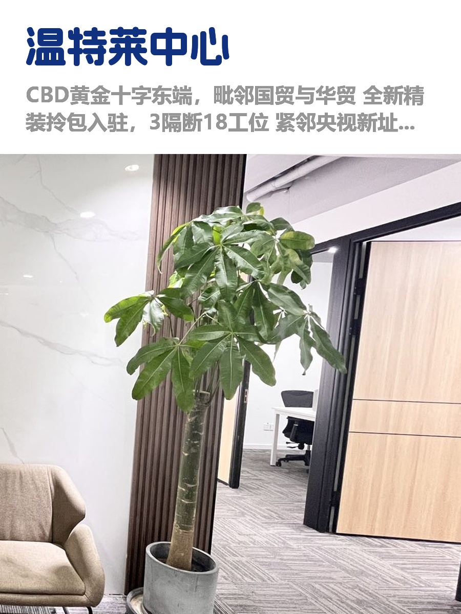 CBD核心区，租金低至一杯咖啡价