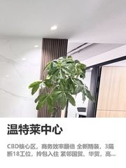 你可以不换园区，但这栋不看会错失10年 - 缩略图 1