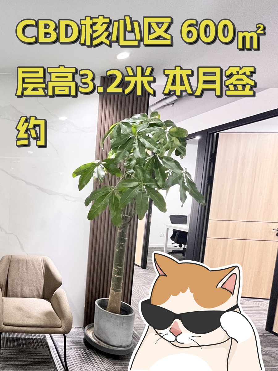 CBD核心区 600㎡ 层高3.2米 本月签约