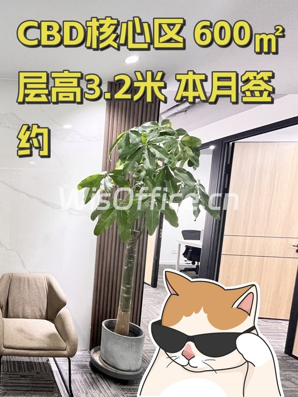 CBD核心区 600㎡ 层高3.2米 本月签约 - 首图