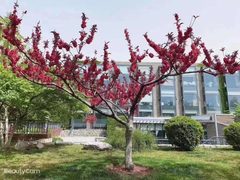 东四环独栋1400平 带院广告公司装修 环境优美 - 缩略图 9