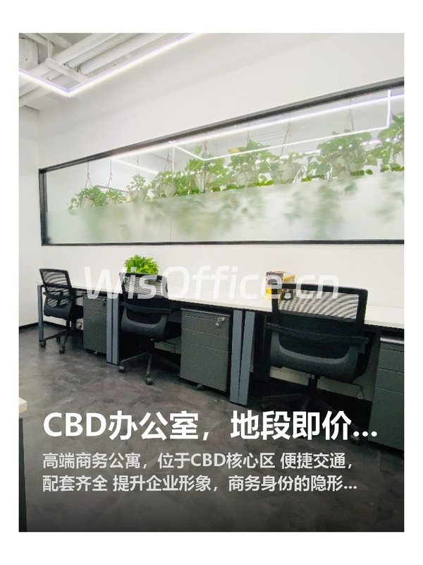 CBD公寓，地段即价值 - 首图