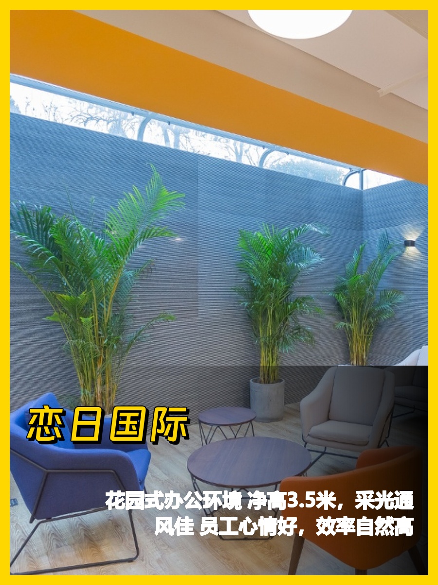 花园办公，效率翻倍