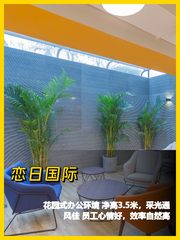 花园办公，效率翻倍 - 缩略图 1