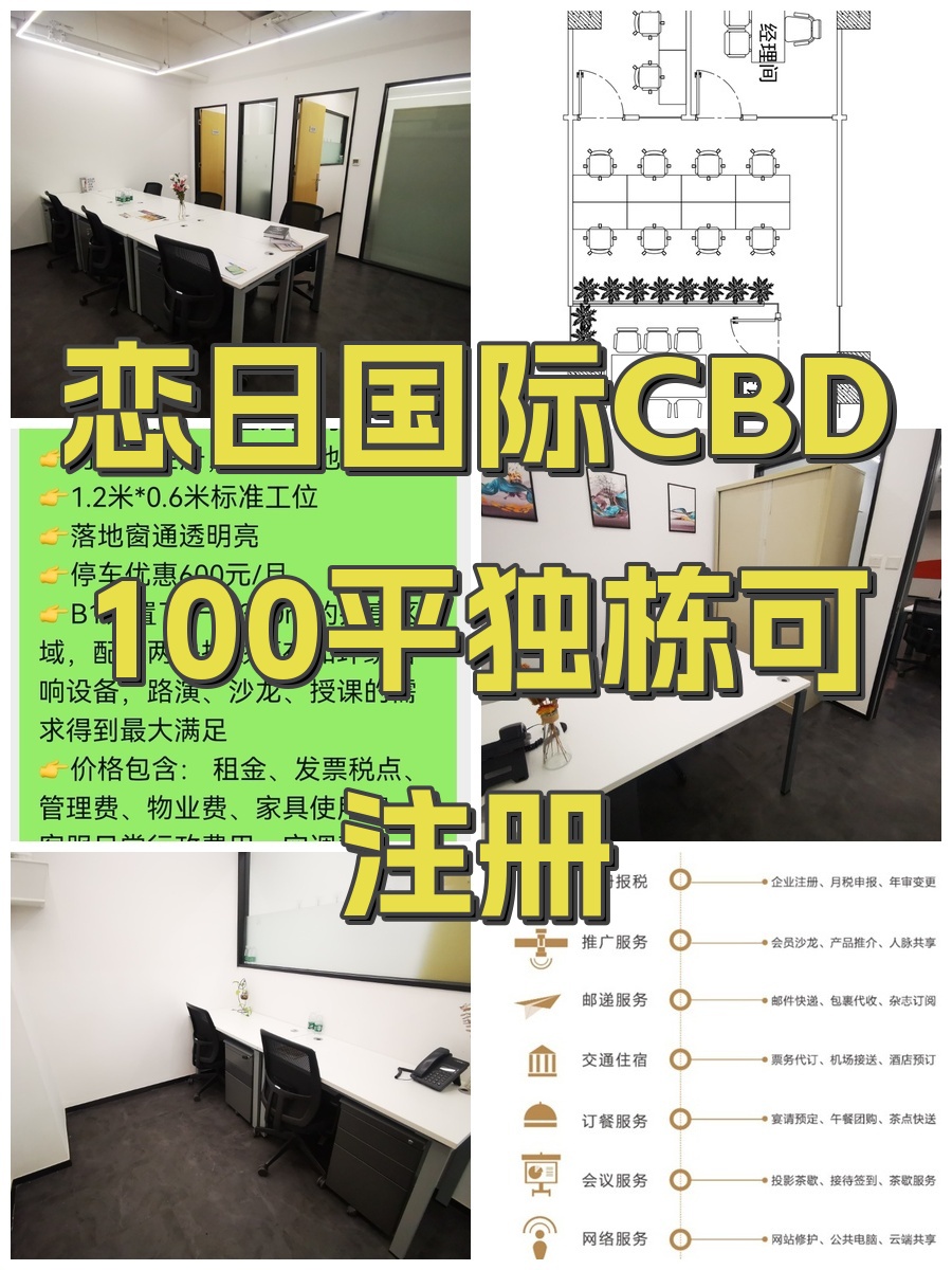 恋日国际CBD100平独栋可注册