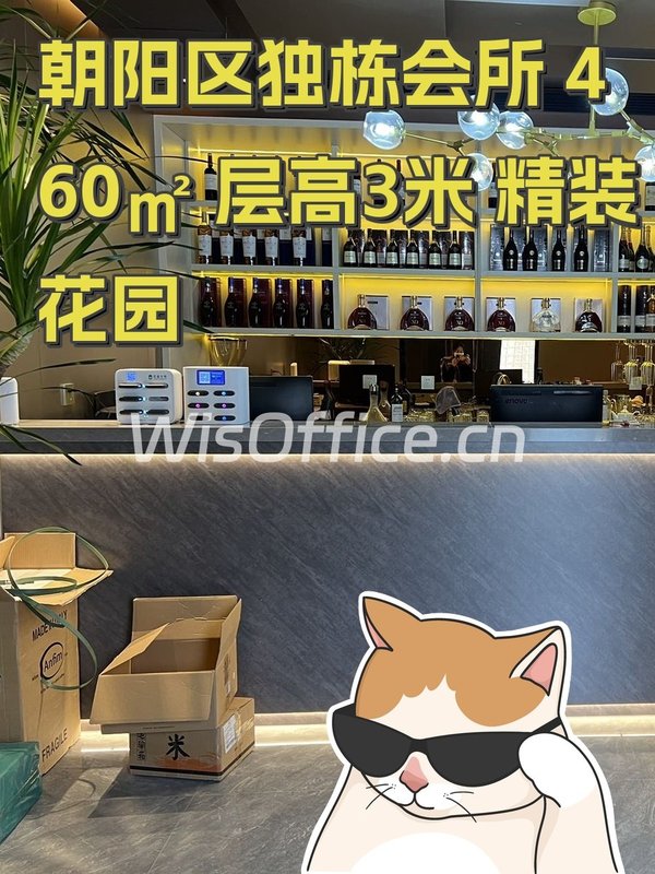 朝阳区独栋会所 460㎡ 层高3米 精装花园 - 首图