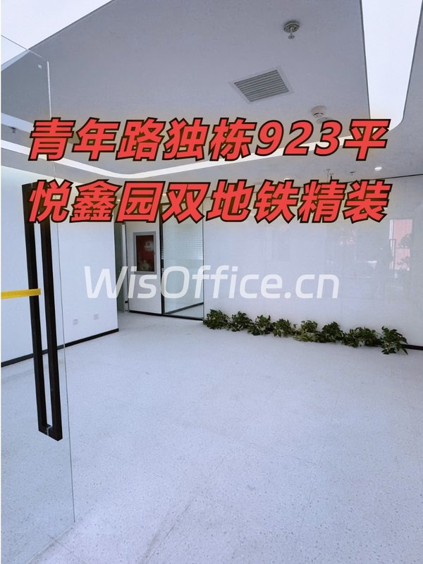 青年路独栋923平 悦鑫园双地铁精装 - 首图