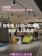 1200㎡西南向独栋 3.1米层高 - 缩略图 1