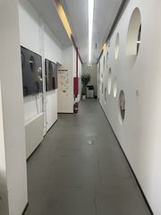 青年路园林景观 1525㎡ 独栋办公 - 缩略图 16