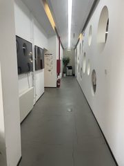 青年路园林景观 1525㎡ 独栋办公 - 缩略图 33