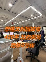 懋隆文创园420平 北向采光 地铁6号线 - 缩略图 1