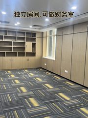 国贸现房 扬子江健康大厦393平 东南向 遗留装修 - 缩略图 11