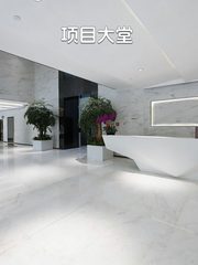 国贸现房 扬子江健康大厦393平 东南向 遗留装修 - 缩略图 4