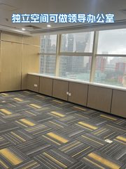 国贸现房 扬子江健康大厦393平 东南向 遗留装修 - 缩略图 13