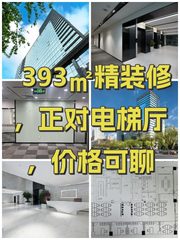 393㎡精装修，正对电梯厅，价格可聊 - 缩略图 1