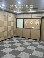 国贸大望路 393㎡ 得房率76% 隔断9个 - 缩略图 12