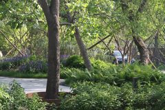 数科公园D栋2301平 园林办公 独栋商务 - 缩略图 14