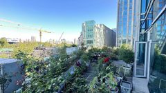 真房｜新东方南楼 |1506平｜面议｜采光无敌！ - 缩略图 16