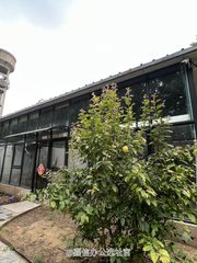 双桥独栋150平 独立庭院 双地铁 - 缩略图 2
