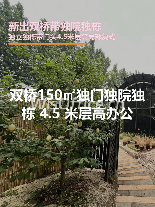 双桥独栋150平 独立庭院 双地铁 - 首图