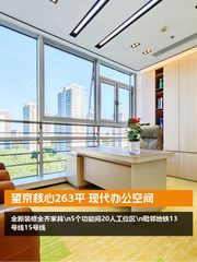 望京核心263平 现代办公空间 - 缩略图 1