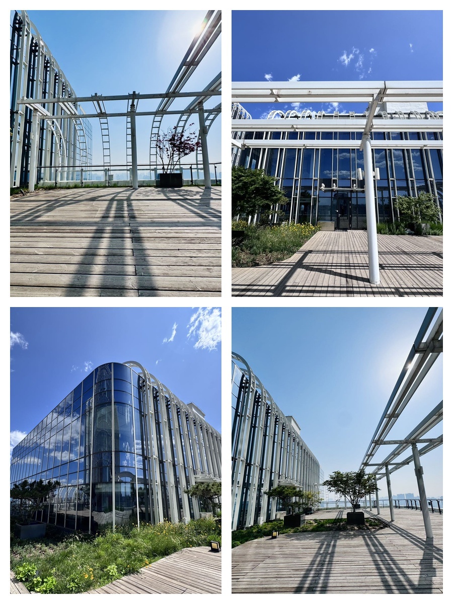 互联网公司炸了！顶层复式带花园办公