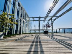 朝阳北路顶层复式独栋带花园 - 缩略图 5