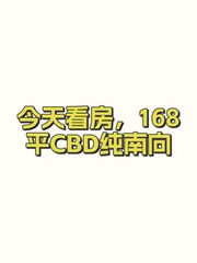 今天看房，168平CBD纯南向 - 缩略图 1