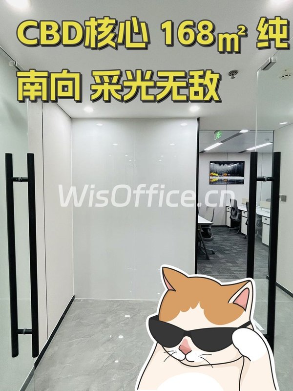 CBD核心 168㎡ 纯南向 采光无敌 - 首图