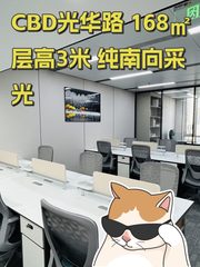 CBD光华路 168㎡ 层高3米 纯南向采光 - 缩略图 1