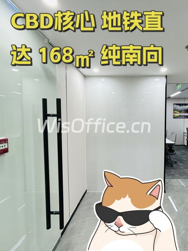 CBD核心 地铁直达 168㎡ 纯南向 - 首图