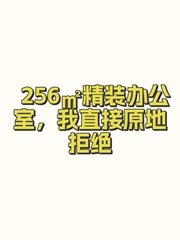 256㎡精装办公室，我直接原地拒绝 - 缩略图 1