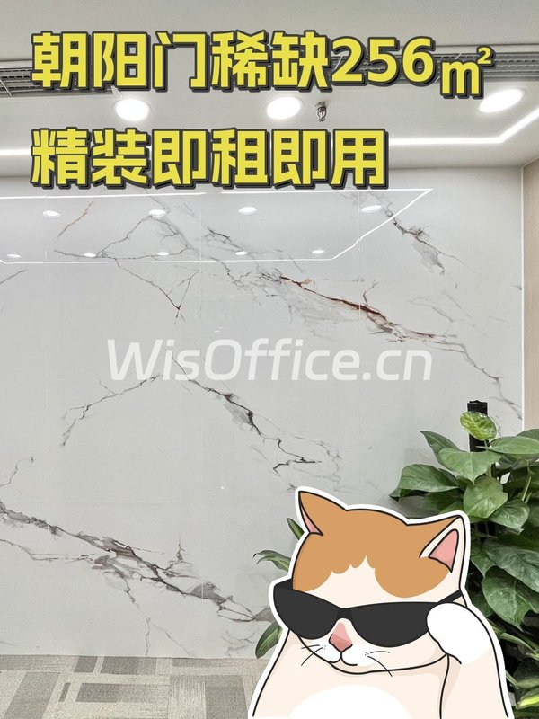 朝阳门稀缺256㎡精装即租即用 - 首图